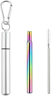 Foweroty 1 Pack Collapsible Stainless Steel Drinking Straws, Reusable Straws, Travel Retractable Straws with Aluminum Case, Cleaning Brush, and Keychains(Silver)