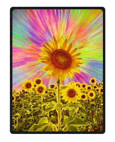 Sunflowers Custom Blanket 58" x 80" (Large)