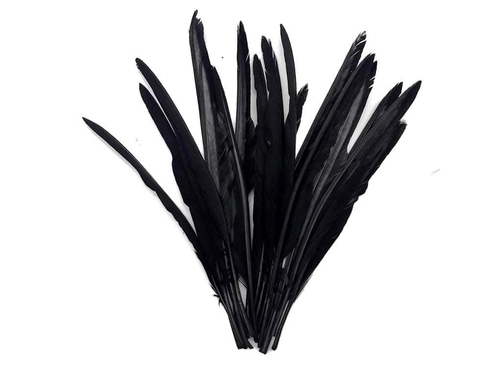 1/4 Lb. - Black Goose Pointers Long Primaries Wing Wholesale Feathers (Bulk) Halloween Craft DIY Costume | Moonlight Feather