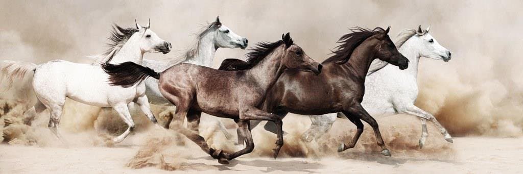 A-1100-S-014Abstract Wall Art, 95 X 32