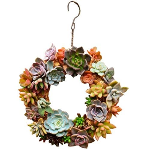 4“ Metal Iron Ring Frame Wire Wreath Succulent Pot Round Hanging Planter Plant Holder (Plants Are Not Included)