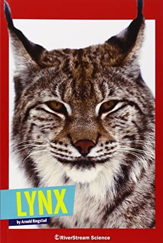 Lynx (Wild Cats) Paperback – 1 Jan. 2015