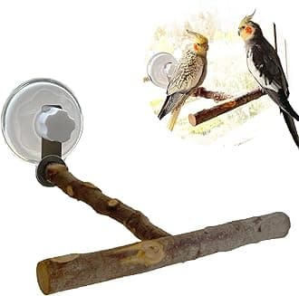 Bird Window/Bath/Car/Travel Perch Stand with Suction Cup for Small and Medium Bird Parrot Parakeet Cockatiel Conure Budgie Lovebirds - (T-Type Wood WindowPerch)
