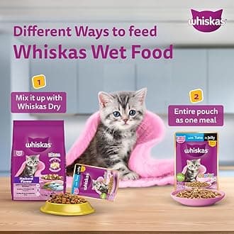 Whiskas Wet Food For Kittens (2-12 Months), Chicken In Gravy Flavour, 48 Pouches (48 X 85G), 1 Count