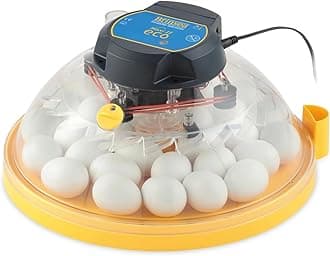 Brinsea Maxi II Eco Manual Egg Incubator with Electronic Temperature Control, Fan Assisted Air Circulation for Hatching 30 Chicken, Duck, or Other Eggs, Ideal for Beginners
