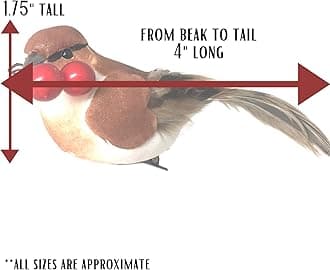 BANBERRY DESIGNS Feathered Song Bird Clip-On Ornaments - Set of 16 Assorted Styles of Birds with Metal Clips - Cardinals, Orioles, Finches and Chickadees Carrying Red Berries - Approx. 4 Inches