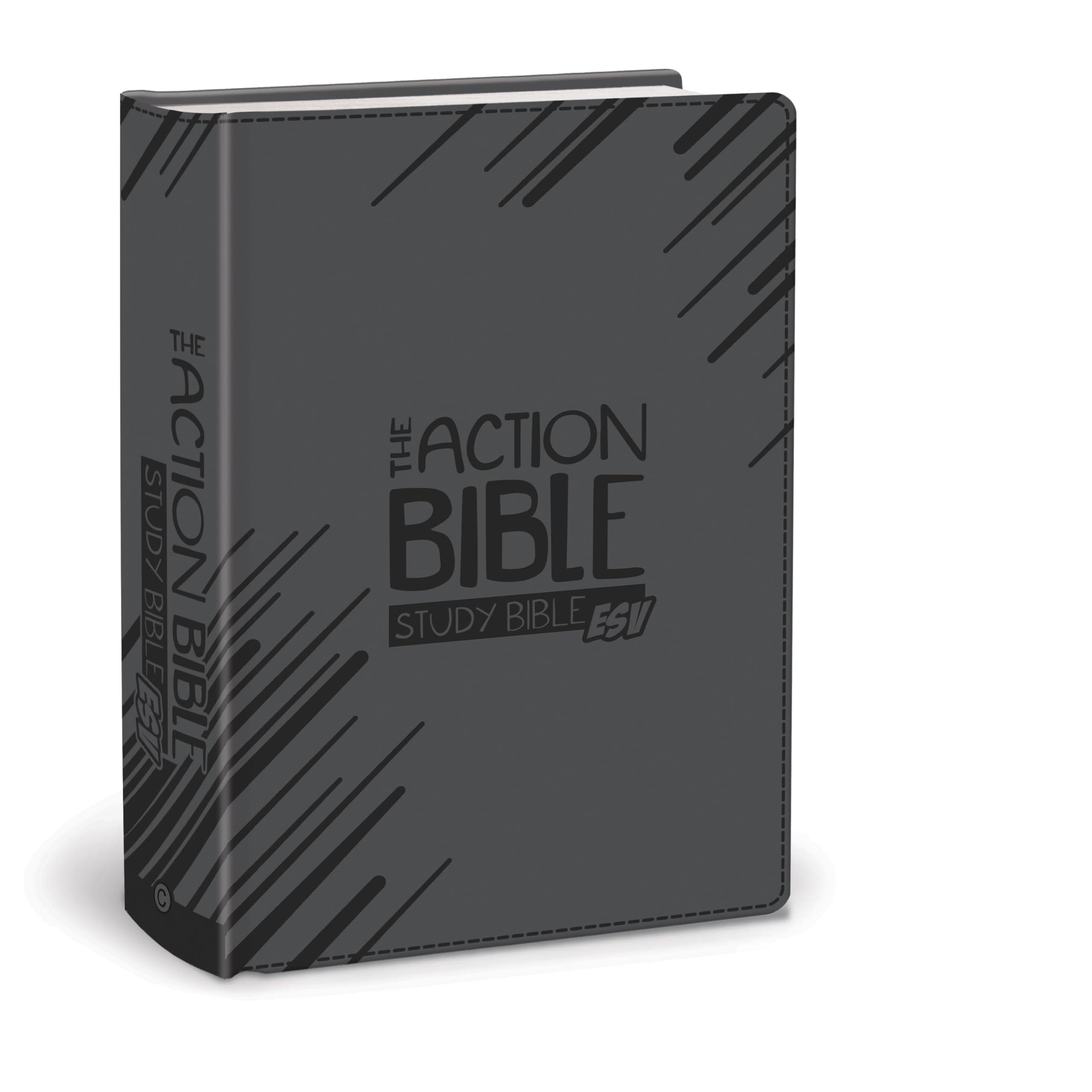 The Action Bible Study Bible ESV: English Standard Version, Virtual Leather, Slate Gray