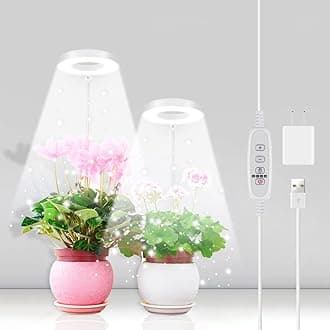 GYTF 2 Pack Halo Plant Grow Light, 6000K White LED Full Spectrum Growing Lamp for Indoor Plants, Succulents, Mini Bonsai, Small Plants, Height Adjustable, Dimmable & Timer 4/8/12/18Hrs