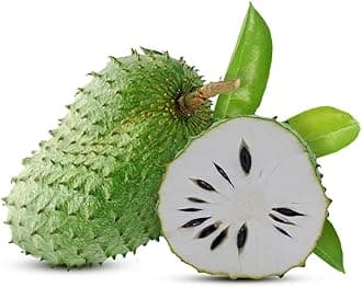 Fresh Soursop from Sri Lanka 2kg