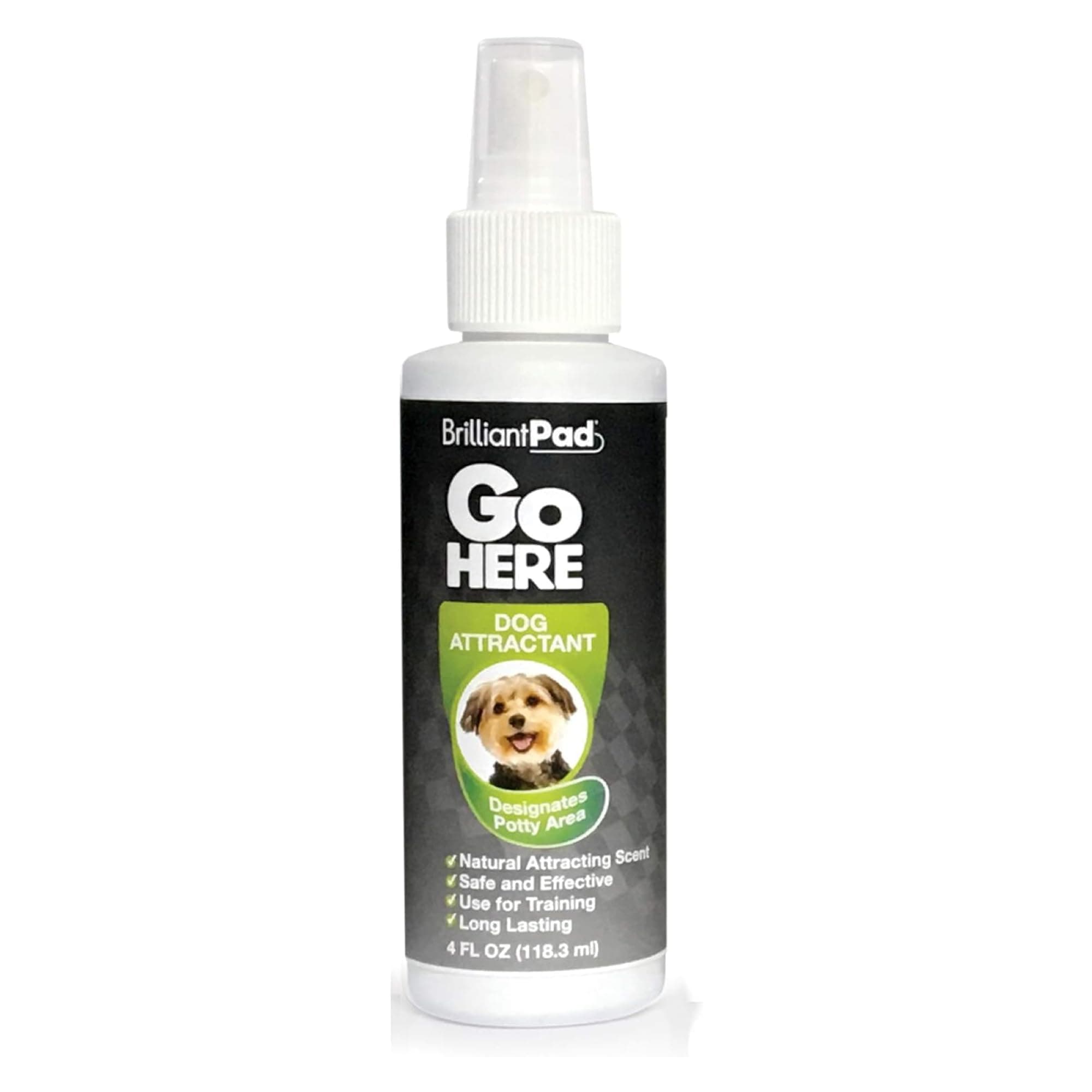 BrilliantPad Go Here Spray
