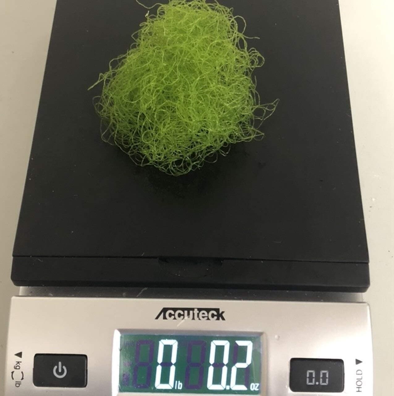 Live Saltwater Plant CHAETOMORPHA Macro Algae .2 OZ Chaeto Refugium with Live Copepods and Amphipods,TBSLSP1050