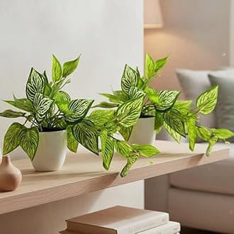 fancymart Artificial Plant Ficus Leaves Falling in Pot, Home and Office Decor Item for Desk & Wall Shelves