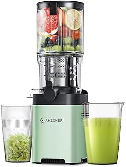 AMZCHEF GM3001 Slow Juicer Powerful Juicer for Fruit and Vegetables with 2 Speed Modes, 2 Travel Bottles (500 ml), LED Indicator, Cleaning Brush and Quiet Motor - Green