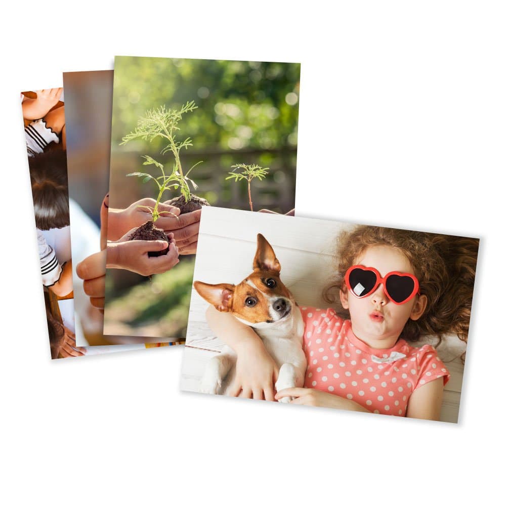 Photo Prints – Matte – Standard Size (8x10)