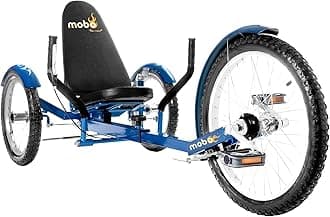 Triton Pro Adult Tricycle. Recumbent Trike. Adaptive 3-Wheel Bike