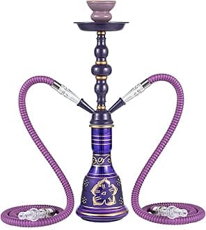20" Hookah set - 2 Hose Premium Shisha Hookah Kit with Glass Vase, Ceramic Bowl and Coal Tongs Ashtray (Purple)