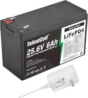 24V 6Ah LiFePO4 Battery Pack, 2000 Cycles Rechargeable 25.6V 153.6Wh