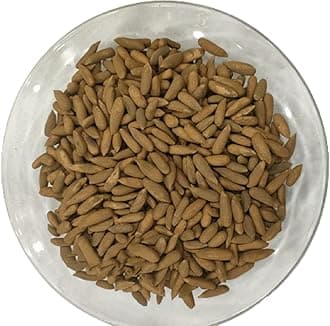 Pine Nuts In Shells- Chilgoza - premium Quality, Fresh Pine nuts (150)