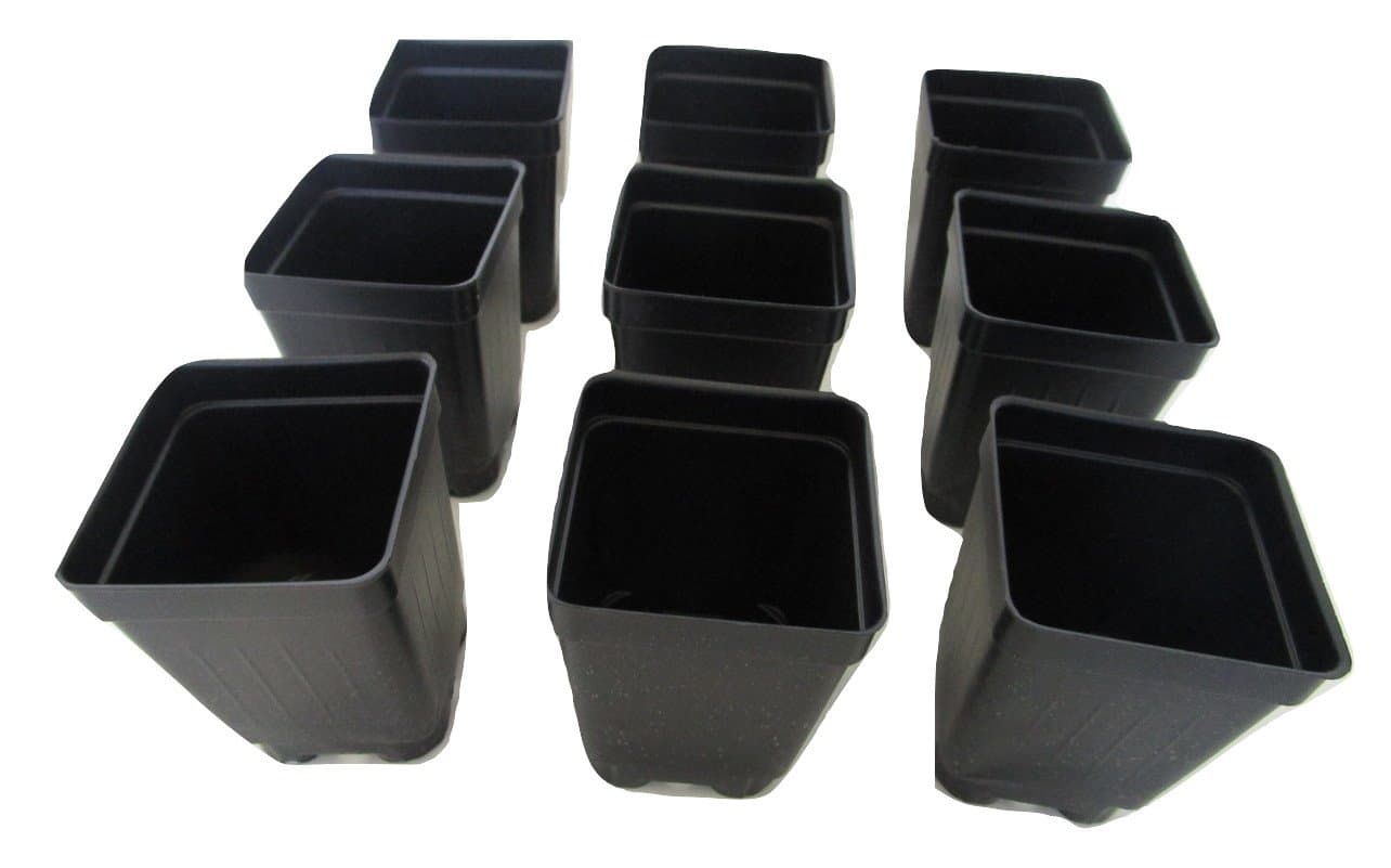 2.5" Square Extra Deep Landmark Nursery Pots - Press Fit (25)