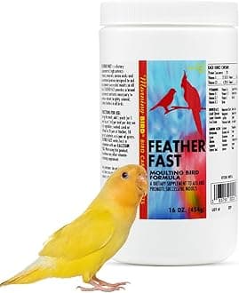 Morning Bird Feather Fast 16 Oz – Multi-Vitamin During Molt - Molting Support Supplement for Bird – Amino Acid & Vitamin Powder Formula– Promotes Feather Growth, and Full Plumage – for All Adult Birds