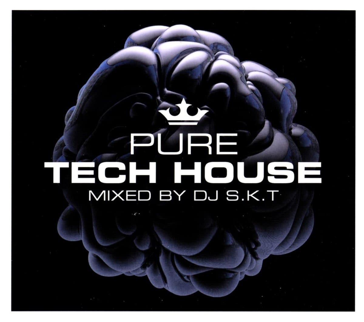 Pure Tech House - Mixed by DJ S.K.T explicit_lyrics