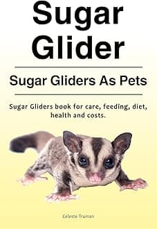 Sugar Glider. Sugar Gliders As Pets. Sugar Gliders
