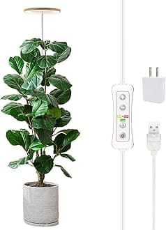 Plant Grow Light, LED Growing Light Full Spectrum for Indoor Plants,Height Adjustable, Automatic Timer, 5V Low Safe Voltage,Idea for Large Plant Light