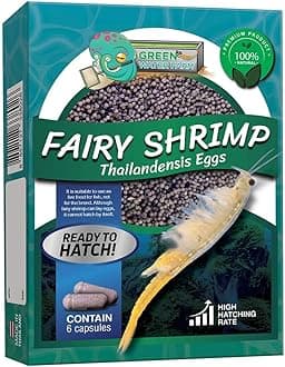 GreenWaterFarm Fairy Shrimp Thailandensis Eggs for Hatching and Cultivation Suitable for Live Fish Bait, Betafish Bait