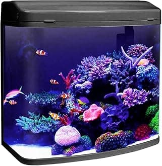 Jainsons Pet Products Minjiang Fish Aquarium Tank (HR3-580, Capacity-56L, Black, Rust Resistant)