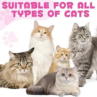 Collagen for Cats, Skin and Coat Supplement for Cats, Liquid Collagen for Cats, Itch Relief for Cats with Allergies, Support Immunity, Joint Health, Cat Collagen Supplement (2 Fl Oz)