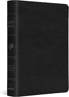 ESV Large Print Compact Bible Imitation Leather – Large Print, 28 July 2022