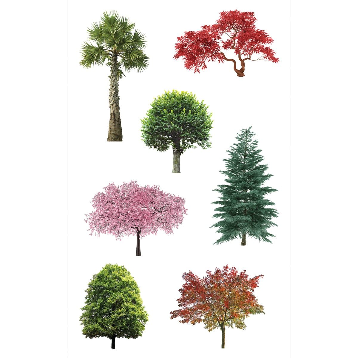 Mrs Grossman's Sticker, Trees In Nature