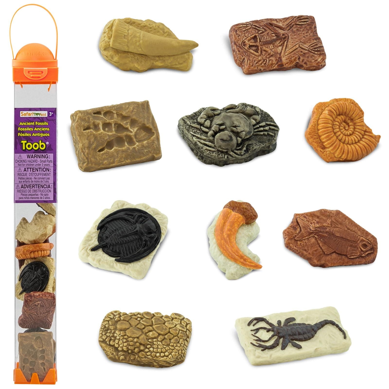 Safari Ltd. 684804 Ancient Fossils