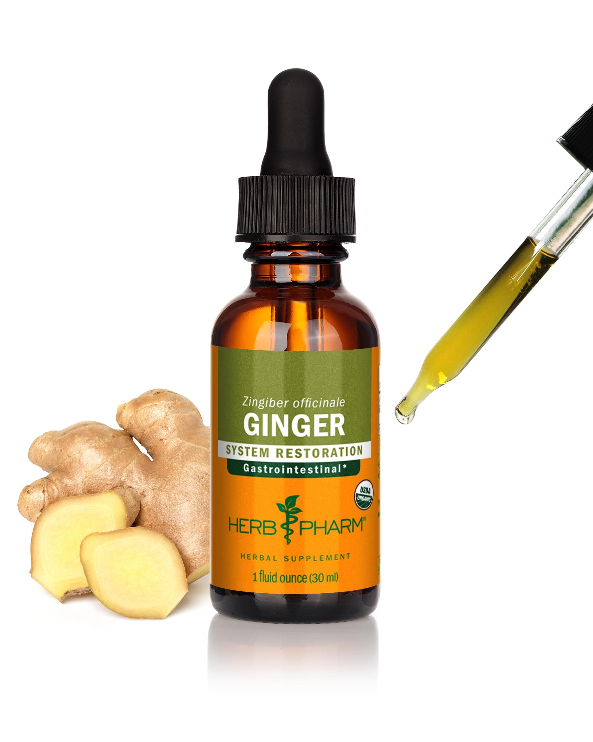Certified Organic Ginger Liquid Extract for Digestive Support - 1 Ounce