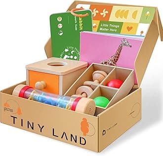 Tiny Land Montessori Toys for Babies 6-12 Months-4-in-1 Wooden Learning Educational Toy Set with Teething Toy, Rainmaker, Flash Cards, and Object Permanence Box, for 1 Year Old Infant