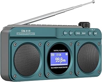 Small Digital FM Radio Bluetooth Speaker, Handheld Rechargeable Radio Wireless Speaker, LCD Display, Double Speakers, Headphone Jack, Support USB/Micro SD Card MP3 Play for Home Outdoor (No AM)