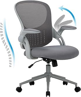 COLAMY Office Chair with Padded 90° Flip-up Armrest, Lumbar Support, Height Adjustable Ergonomic Desk Chair, Executive Swivel Rolling Computer Chair, Comfy Seat Cushion for Home/Office (Grey)