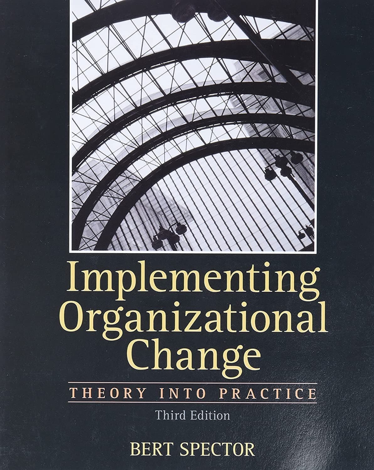 Implementing Organizational Change Paperback – Illustrated, 5 January 2012