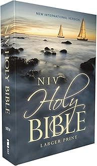 NIV, Holy Bible, Larger Print, Economy Edition, Paperback, Blue, Comfort Print