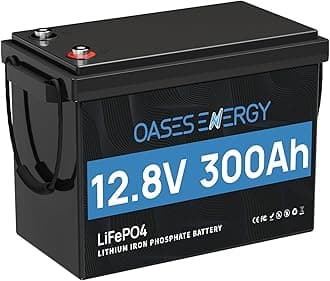 12V 300Ah LiFePO4 Battery, Mini Size, Built-in 200A BMS, Deep Cycle, Low Temperature Cut-Off, Lithium Trolling Motor Battery, Designed for RV, Camping, Marine and Solar