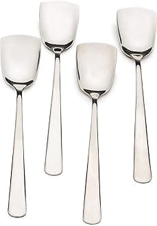 Endurance Stainless Steel Ice Cream Spoons, Set of 4