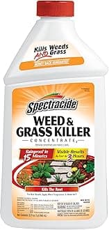 Spectracide Weed And Grass Killer Concentrate 32 Ounces, Use On Patios, Walkways And Driveways, 6 Pack