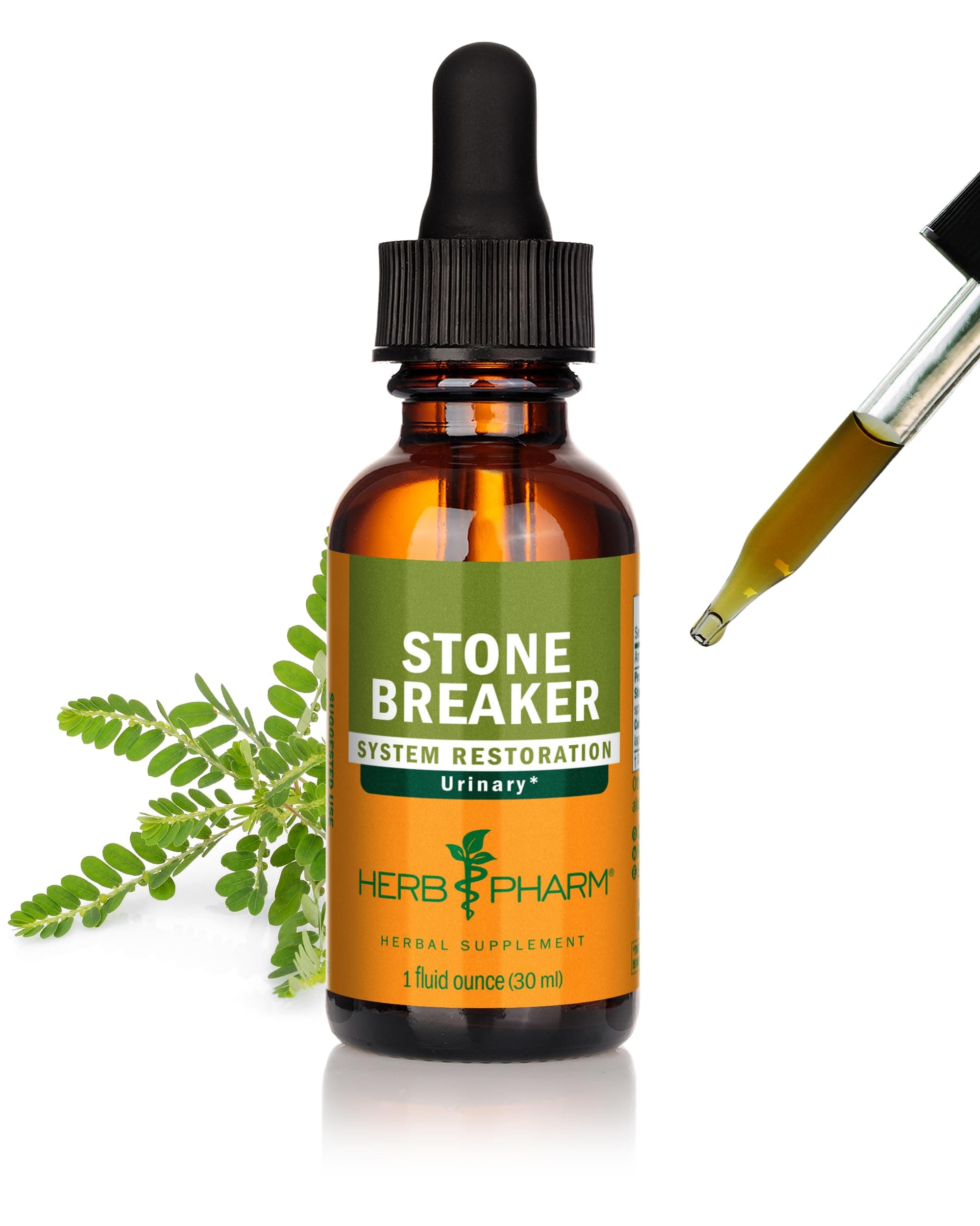 Stone Breaker (Chanca Piedra) Compound Liquid for Urinary System Support - 1 Fl Oz