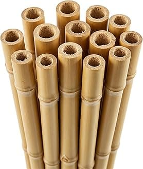 Blado Thick Bamboo Canes - Heavy Duty, Natural Garden Stakes, Strong Bamboo Sticks for Plant Support - Ideal for Gardens and Outdoor Spaces 2FT, 3FT, 4FT, 5FT, 6FT (30, 2ft, 6-8mm)