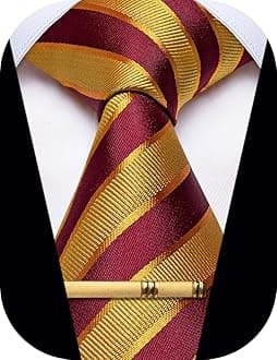 Men's Neckties Striped Tie and Plaid Neckties for Men Woven Silk Tie Gold Tie Clip Set