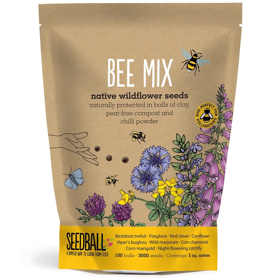 – Bee Mix Seed Bombs - 100 Seed Balls Per Pack | Eco Friendly British Wild Flower Seed Mix for Bees & Garden Wildlife - Poppy, Chamomile, Cornflower, Corn Marigold & Night-Flowering Catchfly