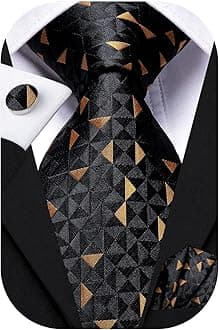 Hi-Tie Silk Ties for Men Plaid Paisley Striped Necktie Pocket Square Cufflinks Set Formal Business