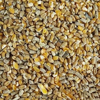 BusyBeaks Chicken Corn Extra | Premium Grade Poultry Feed | Nutritious Oyster Shell, Layers Pellets, Fibre Wheat & Split Maize | High Energy, Protein-Rich Food Mix | Perfect Year-Round Seed (10kg)