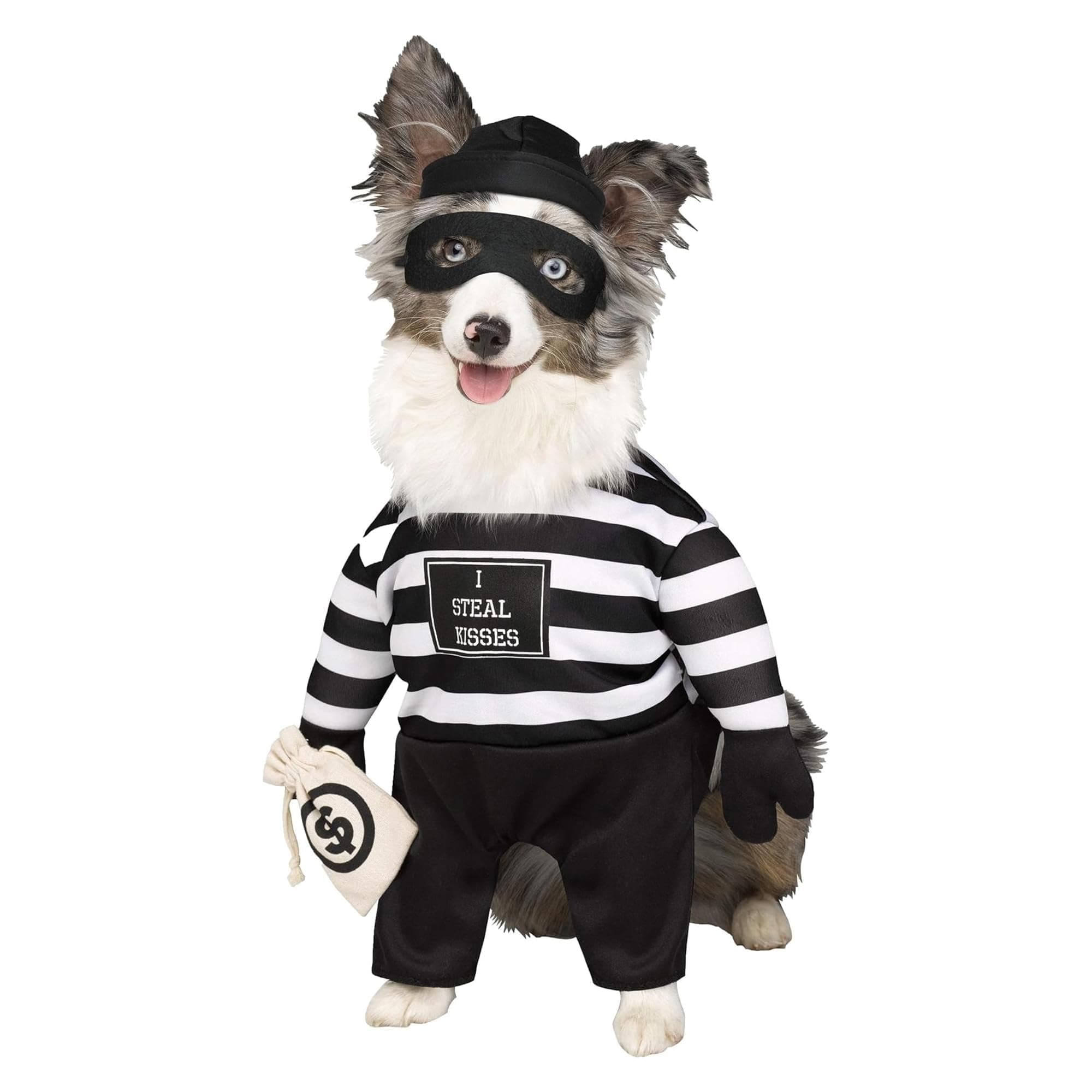 Fun World Robber Pup Costume for Pets