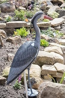 Pond H2o Blue Heron Decoy with Legs & Stake 30'' (76cm) Tall, Adult Blue Heron Statue for Backyard Koi Fish Ponds, Yards & Water Gardens
